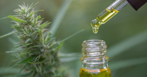 שמן CBD